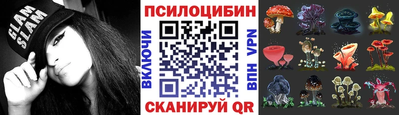 цена наркотик  Верхоянск  Галлюциногенные грибы Psilocybine cubensis 